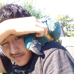 Meet your Posher, Hector